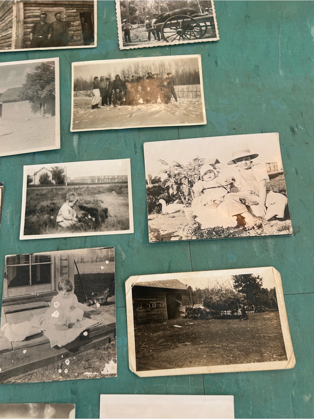 46 black white vintage farm photos animals farmers 1920’s - 1940’s ephemera - Picture 12 of 13